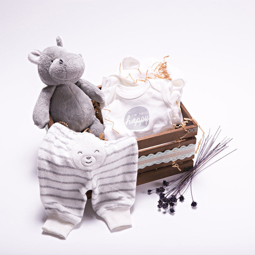Baby Hippo Gift