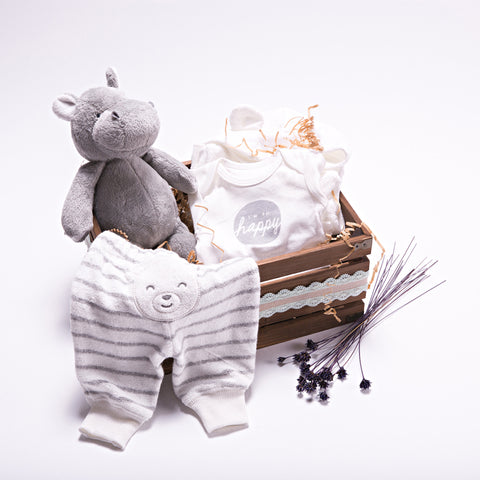 Baby Hippo Gift