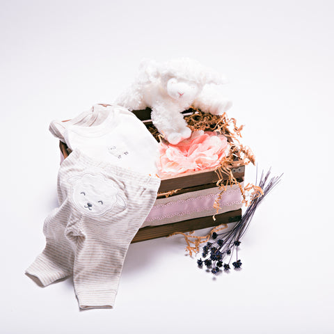 Baby Lamb Gift